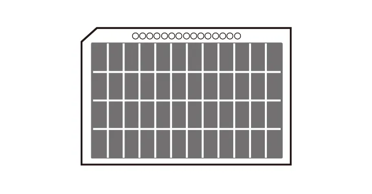マイクロフィッシュ